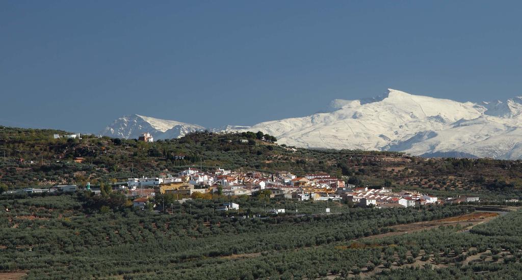 Casas Medina Gueevejar Βίλα Εξωτερικό φωτογραφία